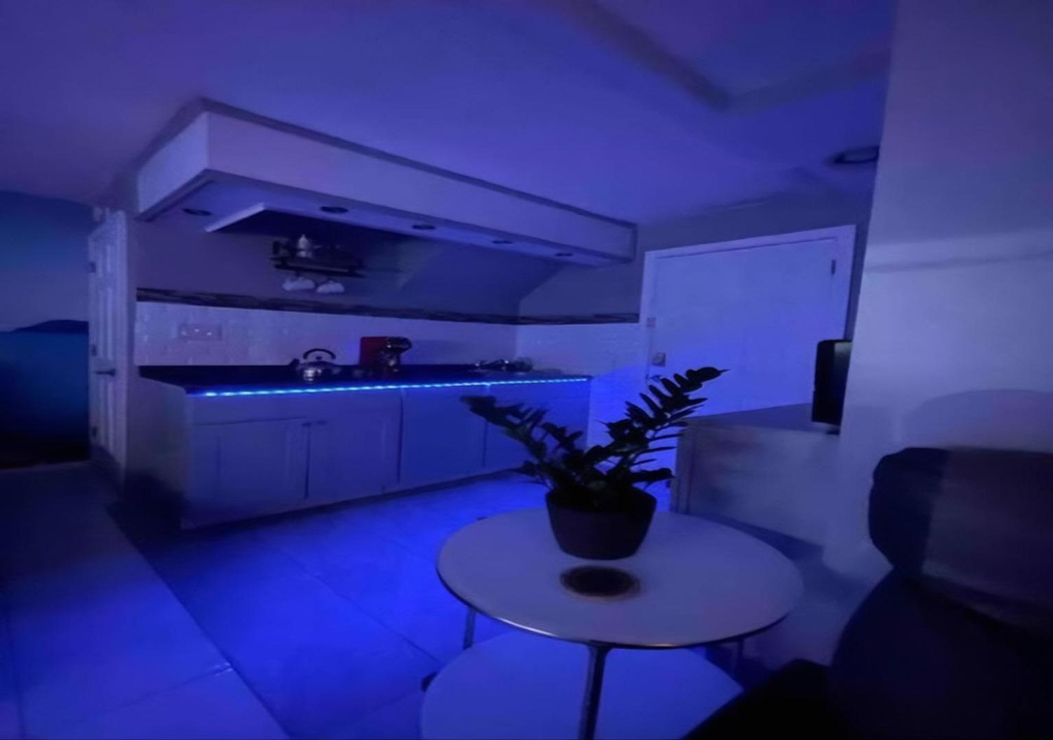 Brooklyn Spacious Space With Private Entrance, Bathroom, & Backyard - Full-Kitchen Нью-Йорк Екстер'єр фото